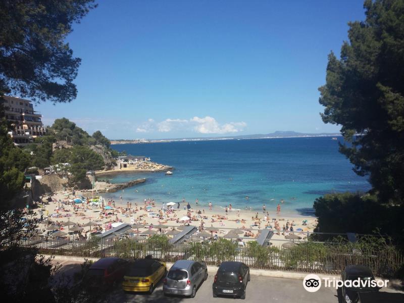 Playa de Illetes