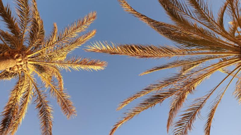 Playa de Almeria