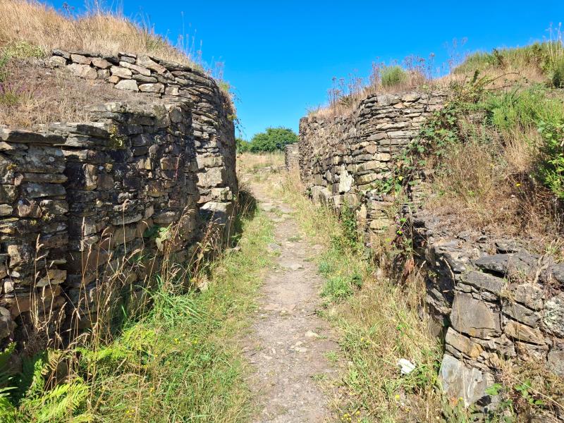 Castro de Castromaoior