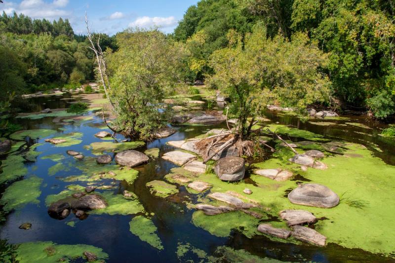 Parque do Mino