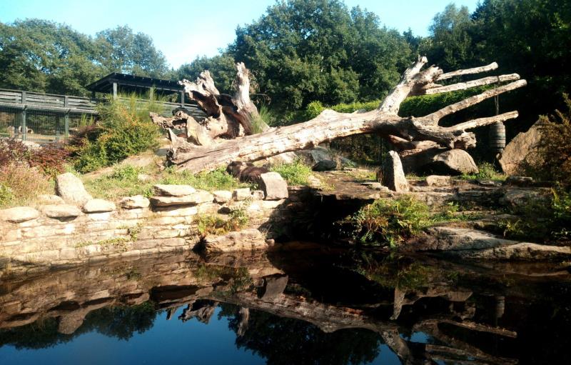 Marcelle Natureza