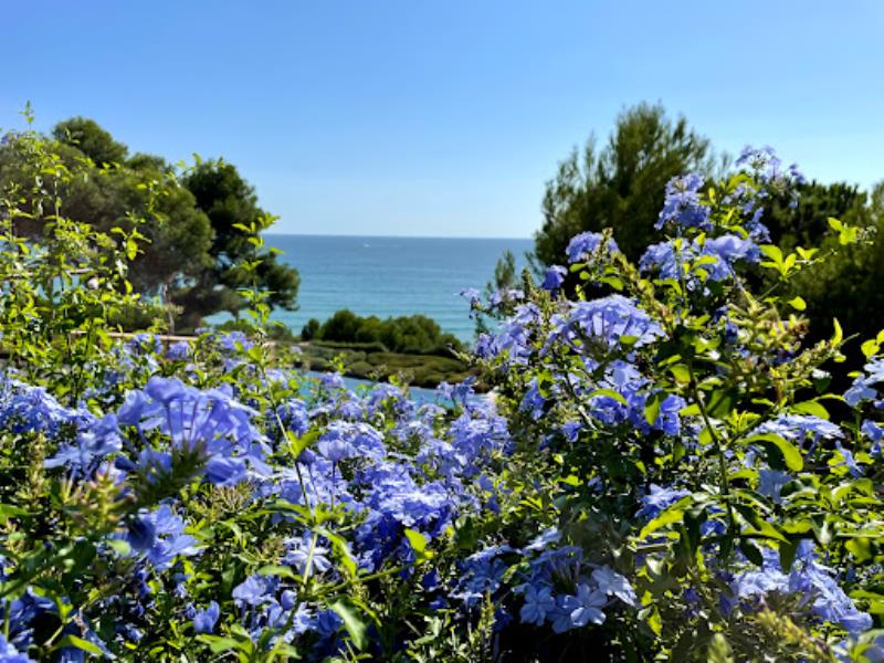 INFINITUM Beach Club