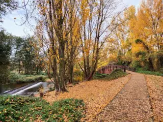 Parque del iregua