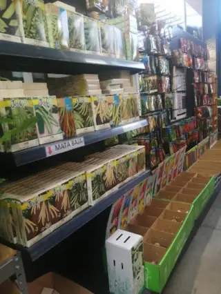 Mil y Pico Plantas