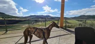 Campo de Golf Logroño