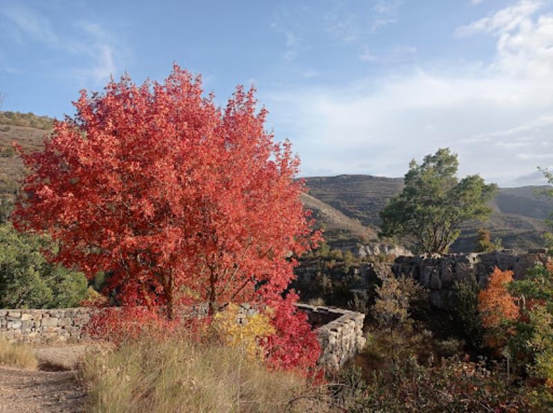 Mirador Del Río Leza