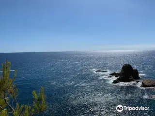 Cala Sardinera