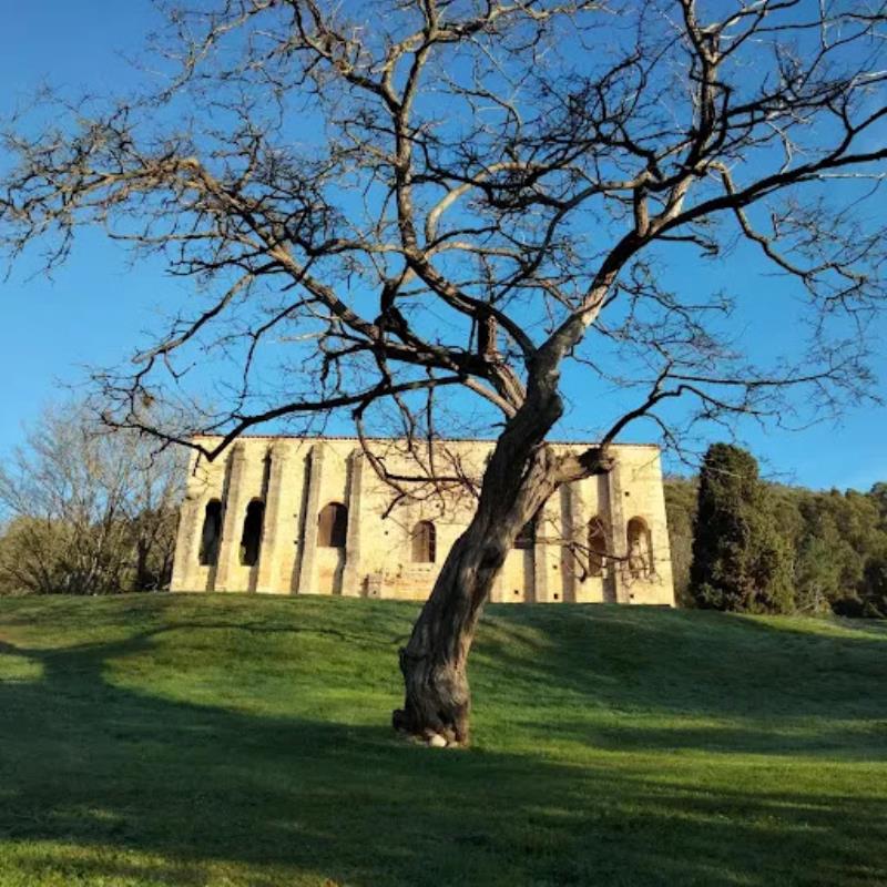 Visitas guiadas en Oviedo y Asturias- Tyque Guías Turísticos.