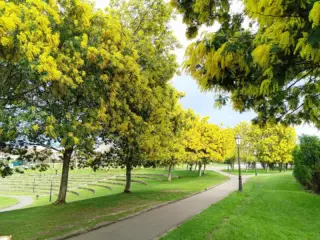 - Plaza Tuero Bertrand Park