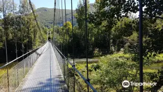 Senda Verde Oviedo Fuso de la Reina