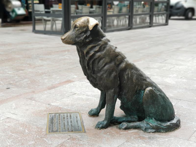 Statue of Rufo, The Dog of Oviedo