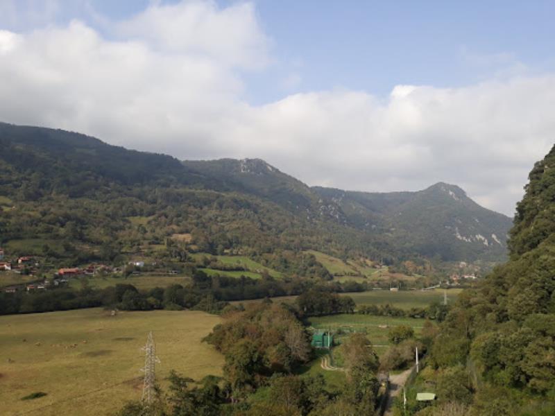 Cercado osero de Paca y Molina