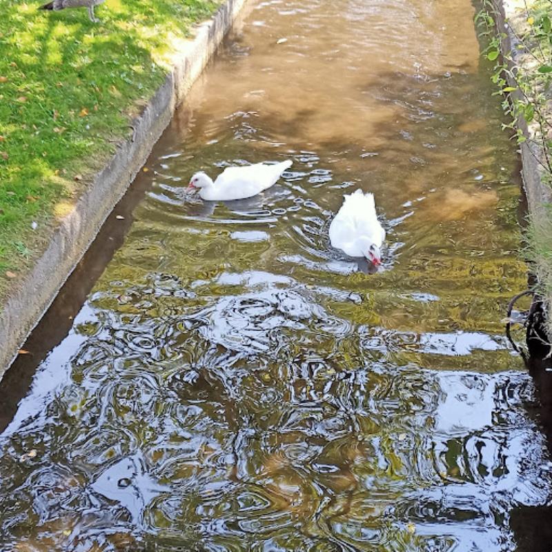 Parque De Lourido
