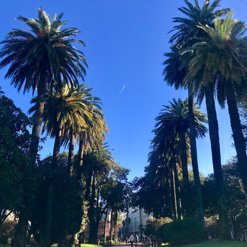 Parque de las Palmeras