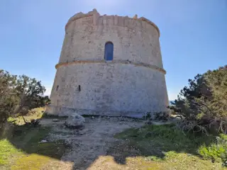 Torre Des Pi Des Català. Torre defensiva històrica