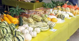 Feria de Barbastro
