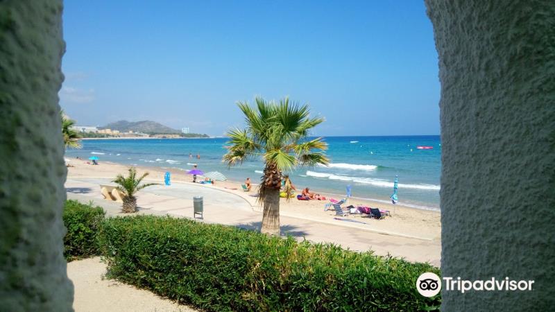 Platja De l'Almadrava