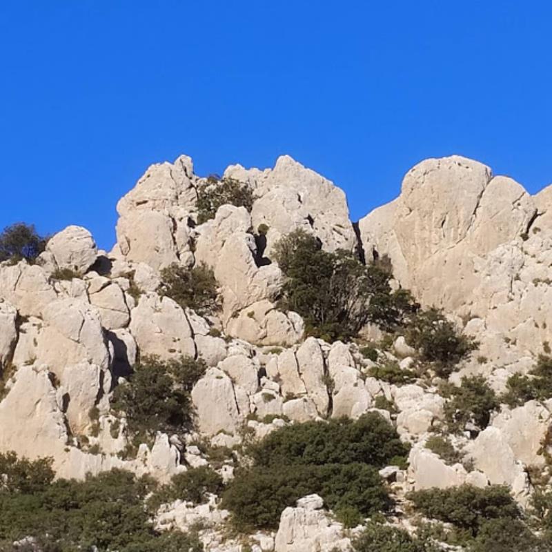 Font del Molí