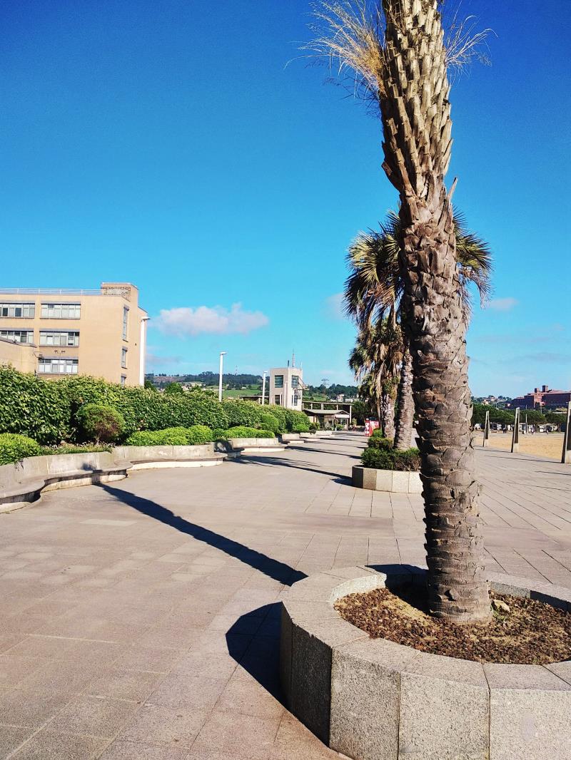 Playa Del Arbeyal