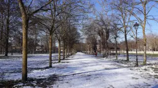 El parral