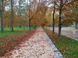 Paseo de la Quinta