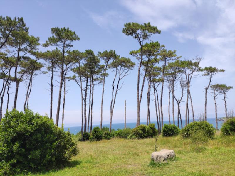Mirador De Los Tranquilos