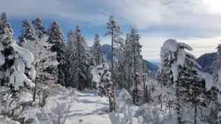 Col du portillon