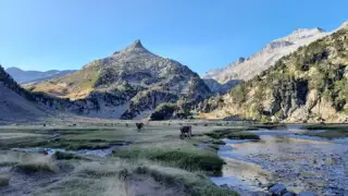 阿内托峰