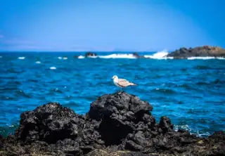 Playa del Bajo de la Burra