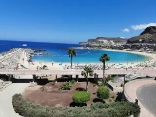 Líneas Blue Bird