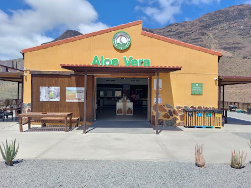 Finca Canarias Aloe Vera Fataga
