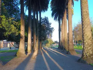 El Lauredal Park