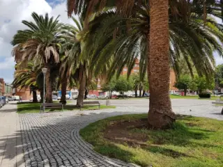 Palmeras Park