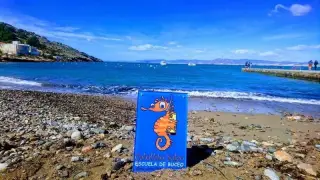 Caballito Salao