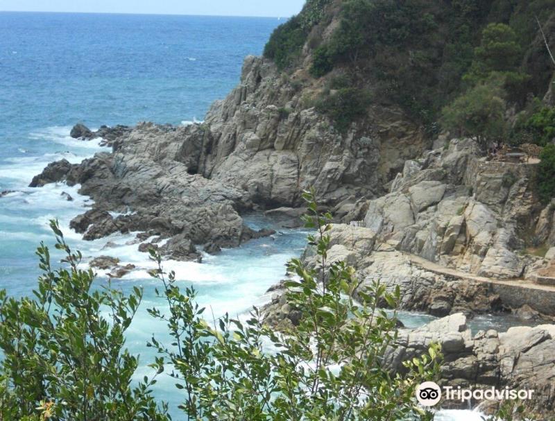 Cala Trons