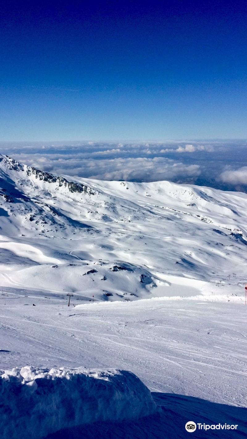 Swedish Ski School