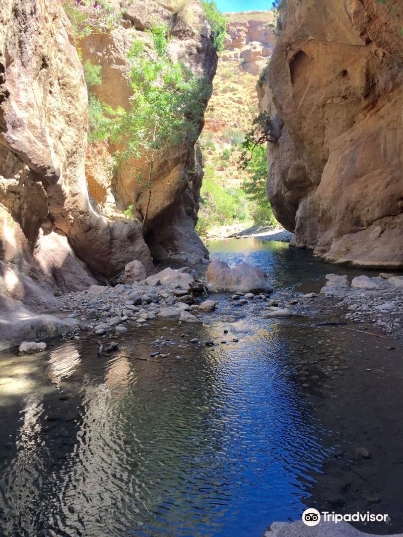 Los Canales de Padules