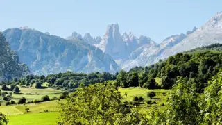 Naranjo de Bulnes