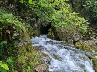 Nacimiento río Cabra