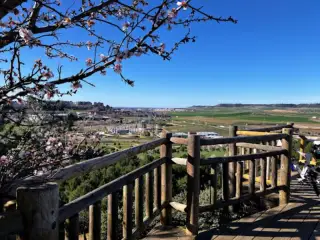Cerro de las Contiendas