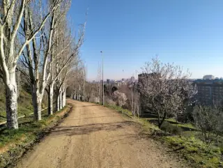 Almendros Park