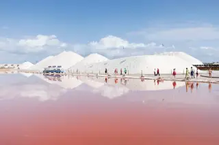 Las Salinas de Torrevieja
