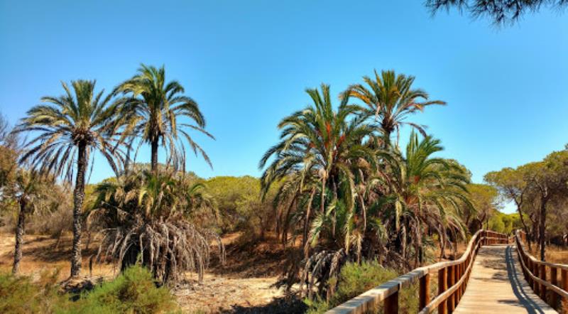 Parc Alfons XIII