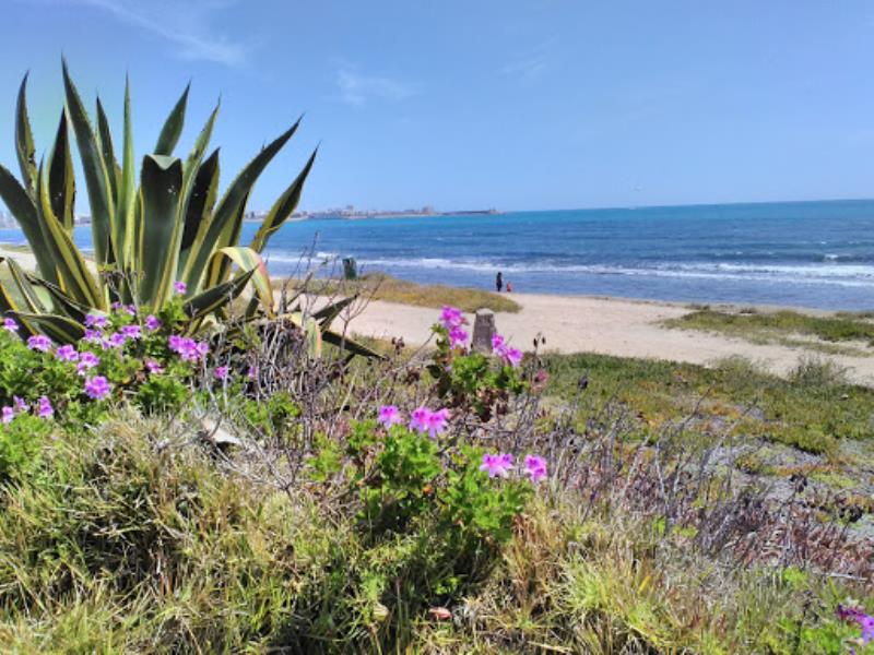Playa Torrevieja