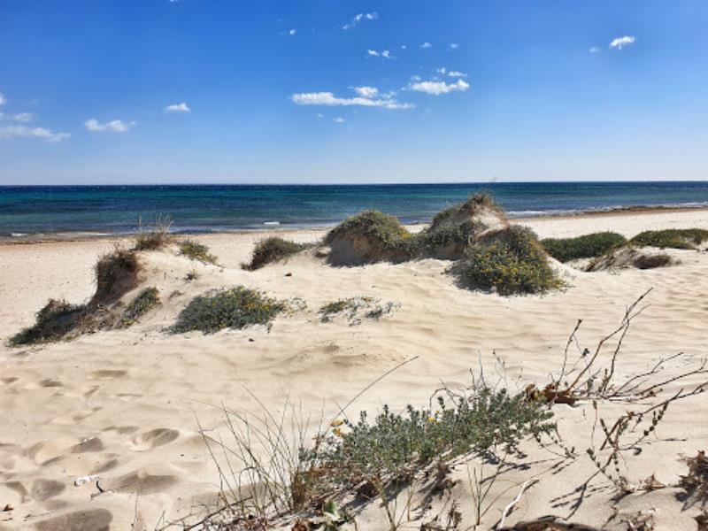 Playa de las Higuericas