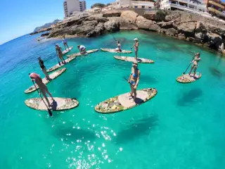 Sea Safari Mallorca