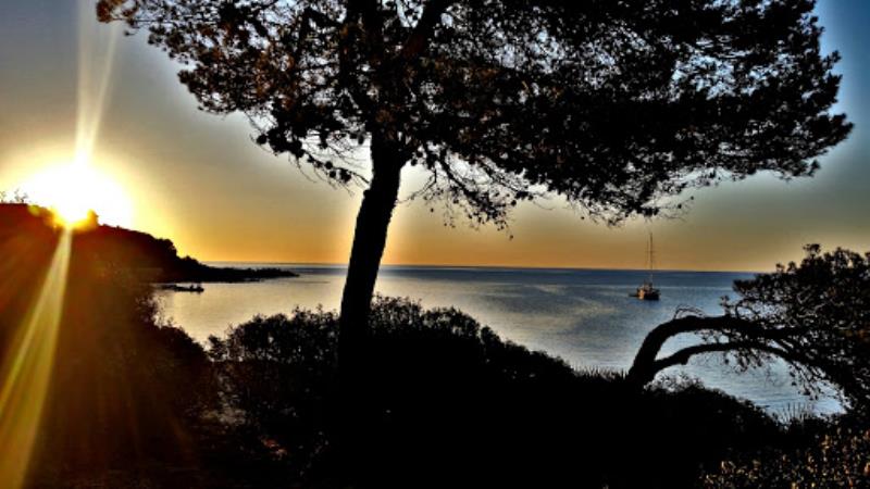 la Font de la Cala