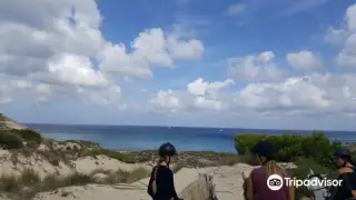 Rancho Bonanza