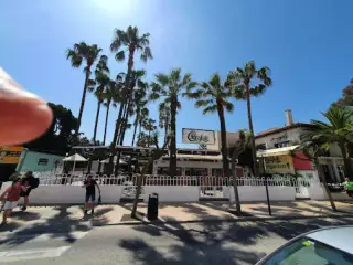 Plaza de los Pinos