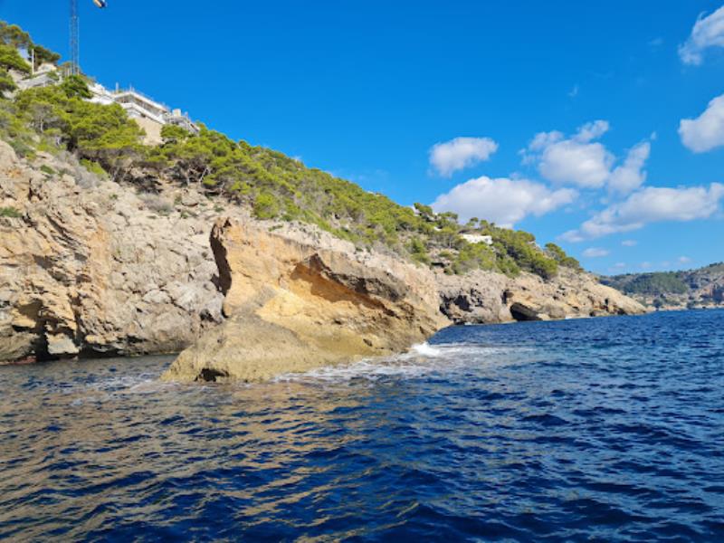 Albatros Diving